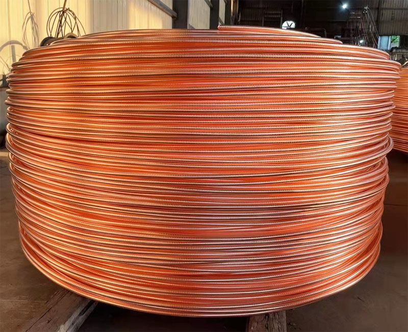 �c���鿴��